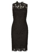 Dorothy Perkins *izabel London Black Lace Bodycon Dress