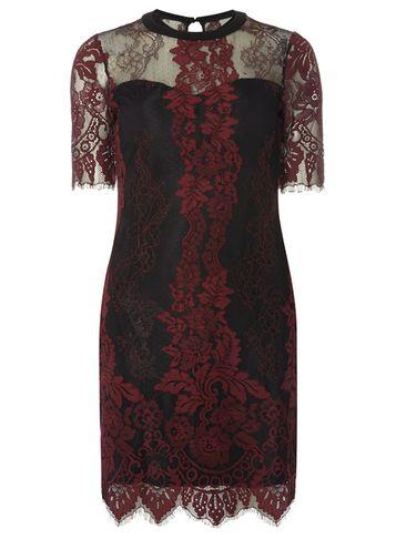 Dorothy Perkins Petite Lace Pencil Dress