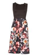 Dorothy Perkins *feverfish Black Floral Print Fit And Flare Dress