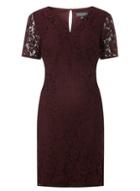 Dorothy Perkins *tall Berry Lace Shift Dress