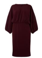 Dorothy Perkins *dp Curve Plum Batwing Pencil Dress