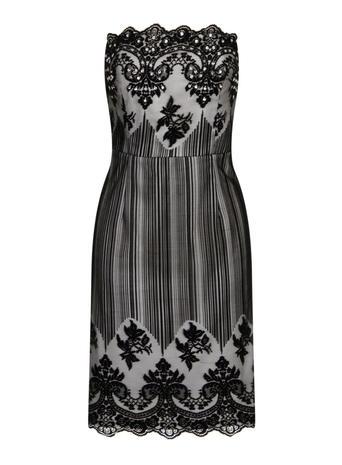 Dorothy Perkins *little Mistress Curve Black Lace Bandeau Dress