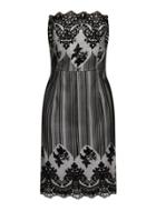 Dorothy Perkins *little Mistress Curve Black Lace Bandeau Dress