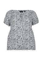 Dorothy Perkins *dp Curve Ivory Gypsy Bardot Top