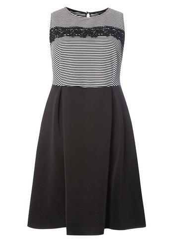 Dorothy Perkins Dp Curve Black Striped Fit And Flare Dress