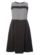Dorothy Perkins Dp Curve Black Striped Fit And Flare Dress