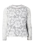 Dorothy Perkins Petite Lace Tipped Sweatshirt