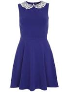 Dorothy Perkins Ultramarine Lace Collar Dress
