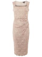 Dorothy Perkins *scarlett B Blush Lace 'lara' Bodycon Dress