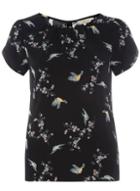 Dorothy Perkins *billie & Blossom Bird Print Shell Top