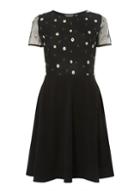 Dorothy Perkins *tall Black Daisy Mesh Dress