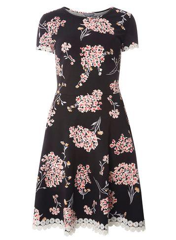 Dorothy Perkins *tall Black Daisy Print Dress