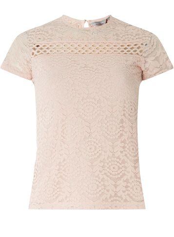 Dorothy Perkins Petite Blush Lace T-shirt