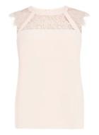 Dorothy Perkins Blush Lace Mix Shell Top