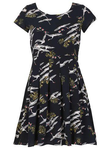 Dorothy Perkins *tenki Blue Bird Print Dress