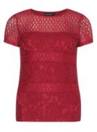 Dorothy Perkins Raspberry Panel Lace Tee