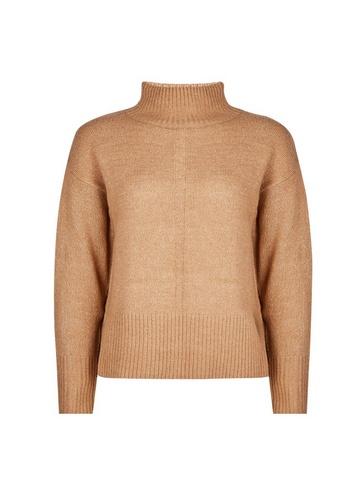 Dorothy Perkins Petite Camel High Neck Spandex Jumper