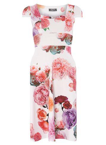 Dorothy Perkins *fever Fish Pink Flower Print Dress