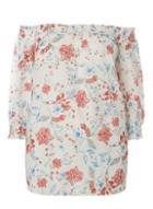 Dorothy Perkins Dp Curve Ivory Floral Print Bardot Top