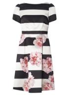 Dorothy Perkins *luxe Stripe Floral Cap Sleeve Prom Dress