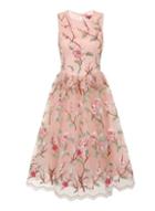 Dorothy Perkins *chi Chi London Pink Floral Embroidered Midi Dress