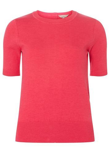 Dorothy Perkins Petite Raspberry Knitted T-shirt