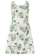 Dorothy Perkins Dp Curve Ivory Parrot Princess Fit And Flare Dress