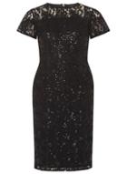 Dorothy Perkins Black Sequin Lace Pencil Dress