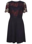 Dorothy Perkins Navy And Berry Lace Skater Dress