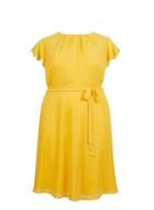 *billie & Blossom Curve Yellow Soft Belt Skater Dress