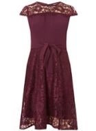 Dorothy Perkins *billie & Blossom Petite Mulberry Lace Skater Dress
