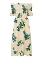 Dorothy Perkins Blush Parrot Print Midi Bardot Dress