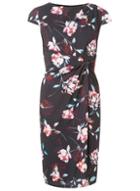 Dorothy Perkins *lily & Franc Manipulated Cap Sleeve Shift Dress