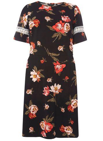 Dorothy Perkins Dp Curve Black Floral Print Fit And Flare Dress
