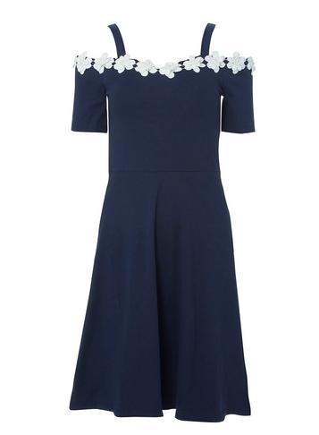 Dorothy Perkins *tall Navy Daisy Lace Skater Dress
