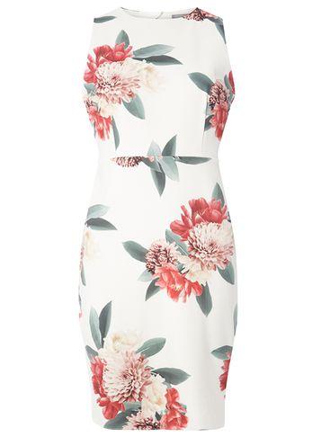 Dorothy Perkins Petite Ivory Floral Pencil Dress