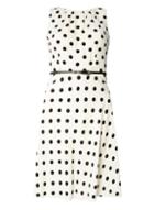 Dorothy Perkins *billie & Blossom Monochrome Spot Dress