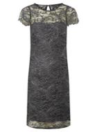 Dorothy Perkins Grey Metallic Lace Short Sleeve Shift Dress