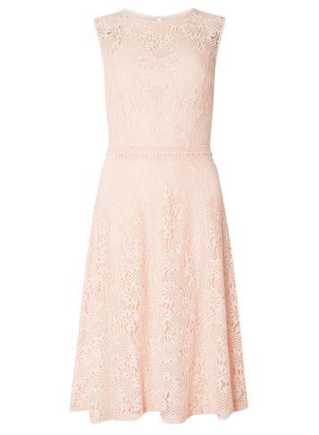 Dorothy Perkins *tall Blush Lace Fit And Flare Dress