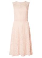Dorothy Perkins *tall Blush Lace Fit And Flare Dress