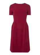 Dorothy Perkins *tall Fuchsia Fit And Flare Dress