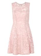 Dorothy Perkins *quiz Pink Petite Lace Skater Dress