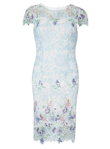 Dorothy Perkins *izabel London Blue Floral Lace Dress