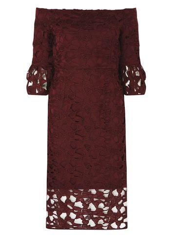 Dorothy Perkins Wine Lace Bardot Shift Dress