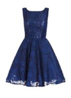 Dorothy Perkins *quiz Lace High Neck Skater Dress