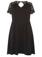 Dorothy Perkins Dp Curve Lace Dress Black