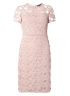 Dorothy Perkins Pink Heavy Lace Pencil Dress