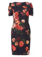 Dorothy Perkins Black Floral Print Tuck Sleeve Bodycon Dress