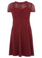 Dorothy Perkins Cranberry Lace Top Dress