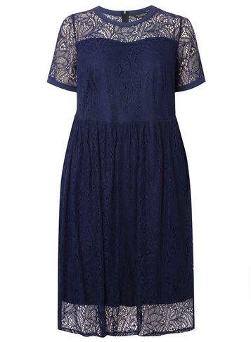 Dorothy Perkins Dp Curve Navy Lace Fit And Flare Dress